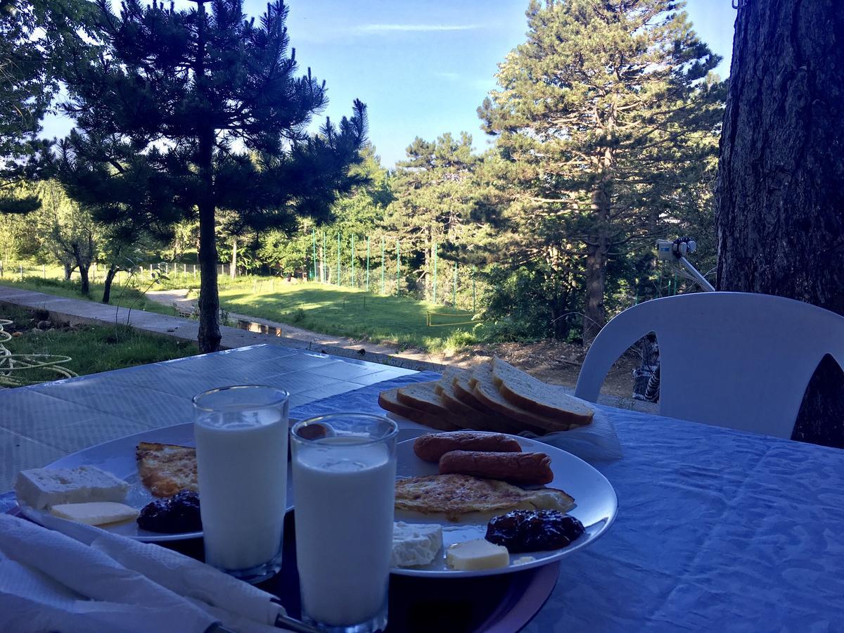 Shkreli Resort Qafeshtame Cudhi-Kamt エクステリア 写真